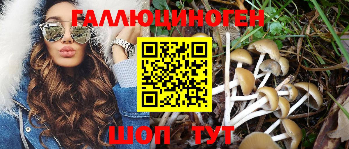 Галлюциногенные грибы Cubensis  Галлюциногенные грибы Psilocybe  что такое   Карабулак  Вход с VPN 